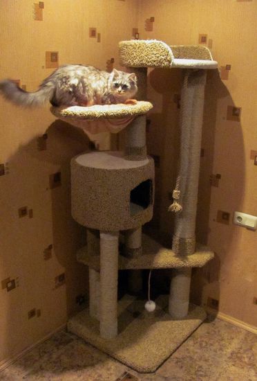 Домик для кота И-86