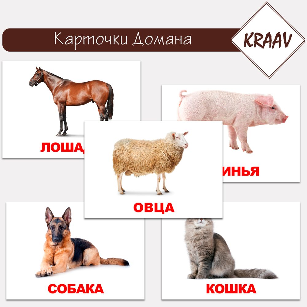 Карточки Домана &quot;Фрукты и ягоды&quot;