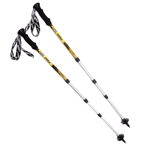 ПАЛКИ BTRACE ТРЕКИНГОВЫЕ 4POINT