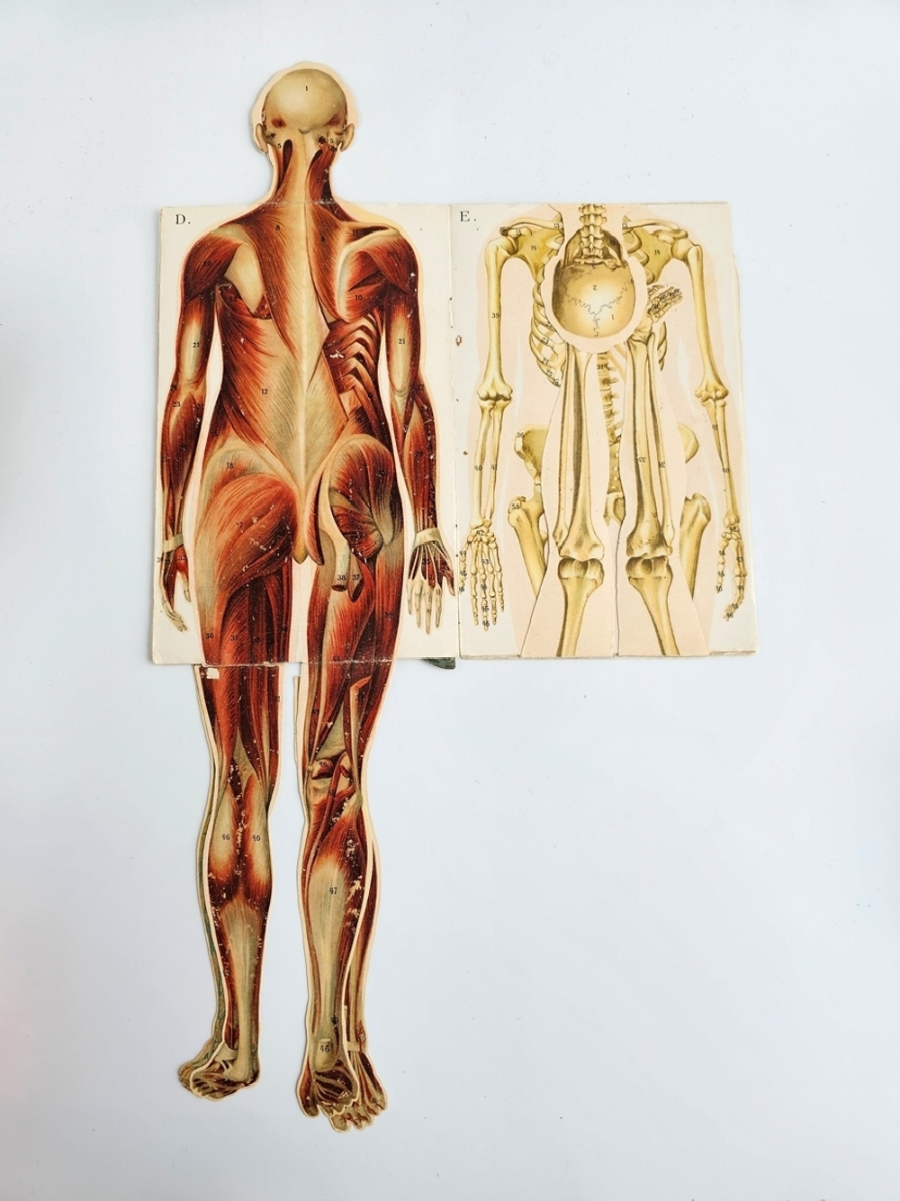 "Новый способ лечения. Лечение целебными силами природы."  М. Платен. 1906 г.