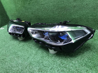 Фара Комплект фар BMW X5 G05 X6 G06 (18-23) Laser