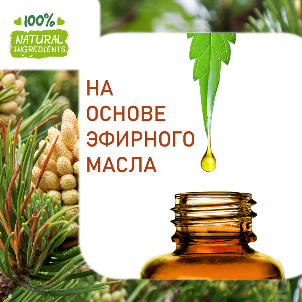 Сосна, отдушка для свечей и мыла