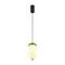 Подвесной светильник Freya Modern Iride FR5627PL-L8BBS
