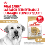 Royal Canin Labrador Retriever Лабрадор Ретривер Эдалт Корм сухой для взрослых собак породы Лабрадор Ретривер в возрасте от 15 месяцев 3кг