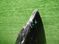 DSCN9408.JPG