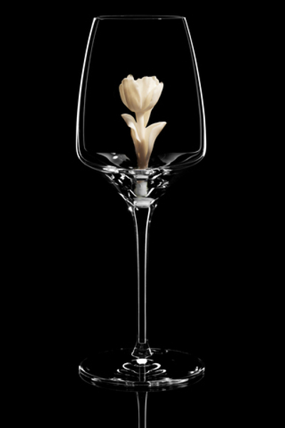 Бокал для белого вина. / Тюльпан белый.