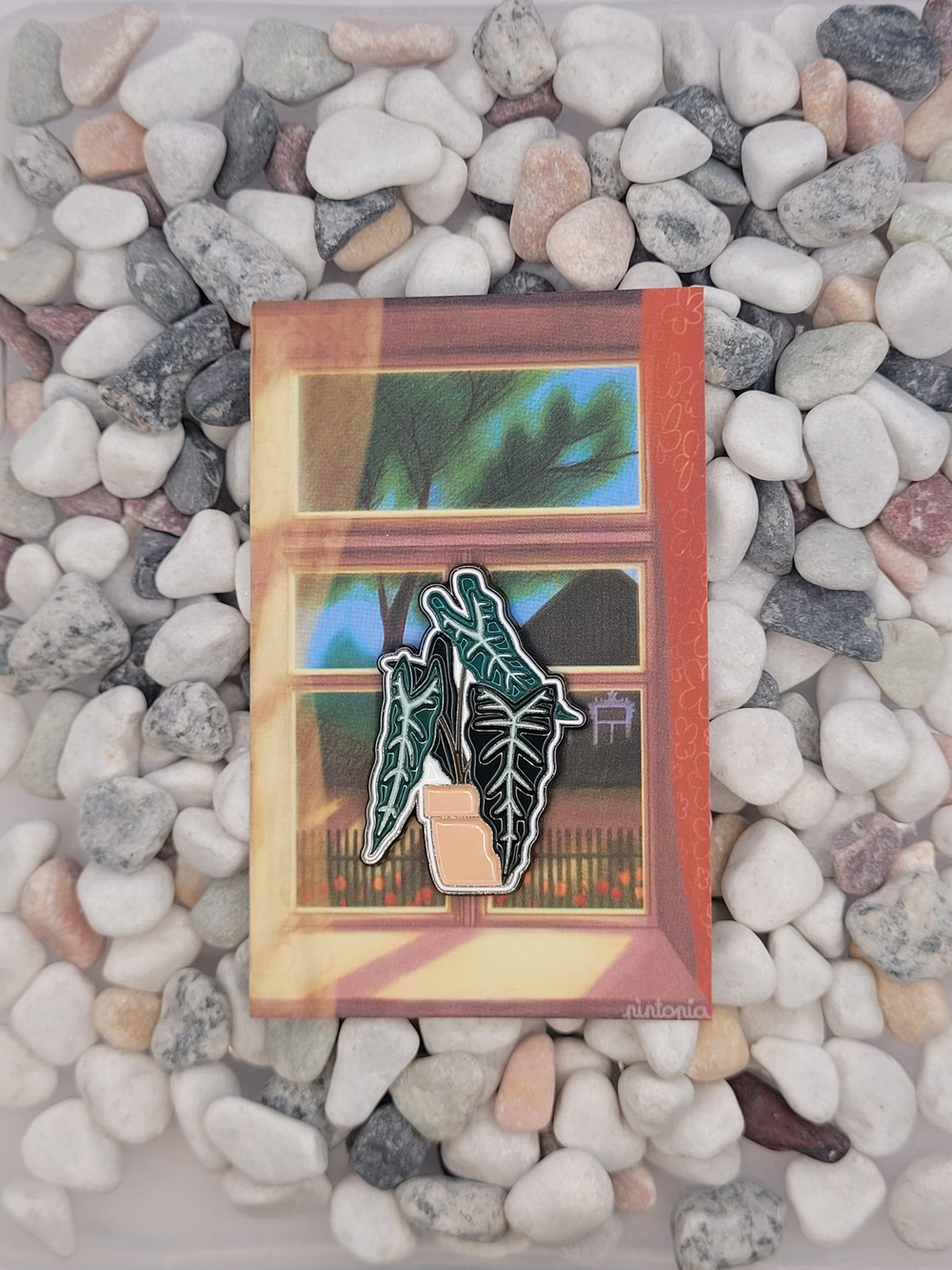 Значок Алоказия