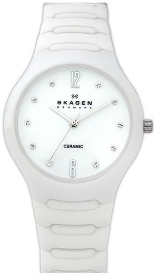Наручные часы Skagen 817SSXC