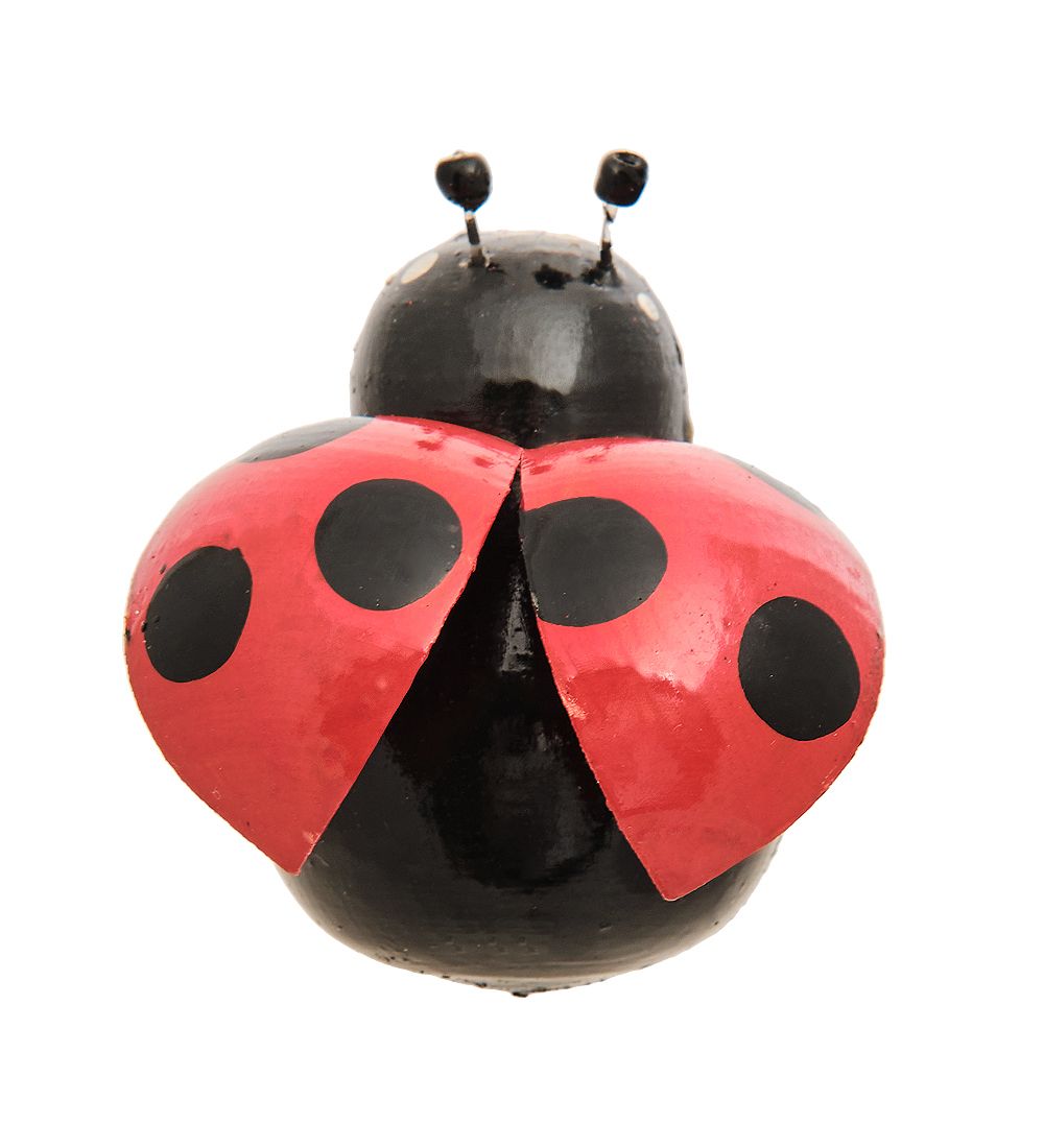 БК-17 Магнит «Божья коровка с крыльями» 50мм - Вариант A