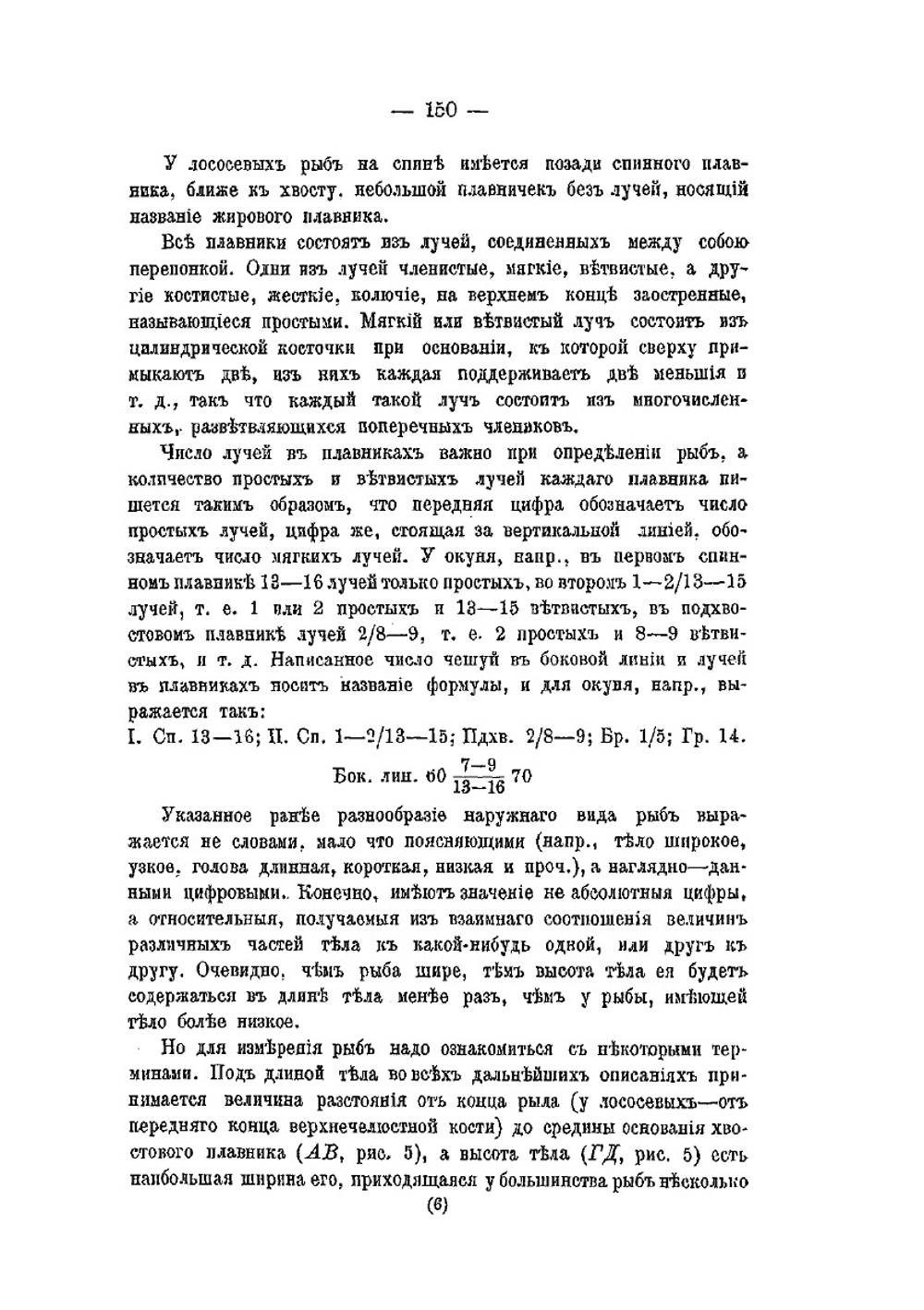 Рыболовство в Бассейне реки Оби. Часть 2 | Н. А. Варпаховский
