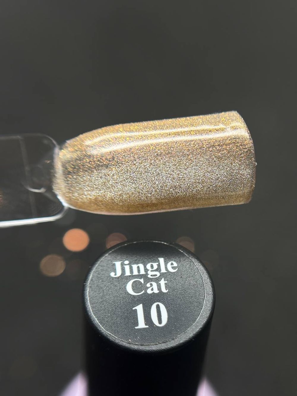 photo_5303385983598841945_y