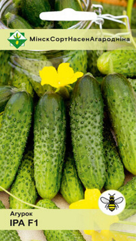 Огурец "Ира F1" 15шт, Германия.