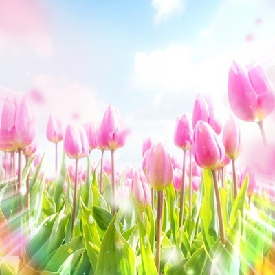 Вебинар-интенсив Провидицы Альмин «Вхождение в Высшие Миры. Часть 3»