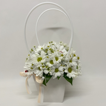 Ромашки для Наташки