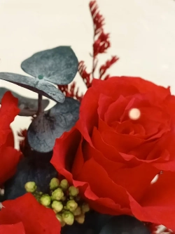 натуральные кустовые розы в стекле, вакуум