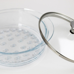 Кастрюля с паровой корзиной Cristel Master (20 см)