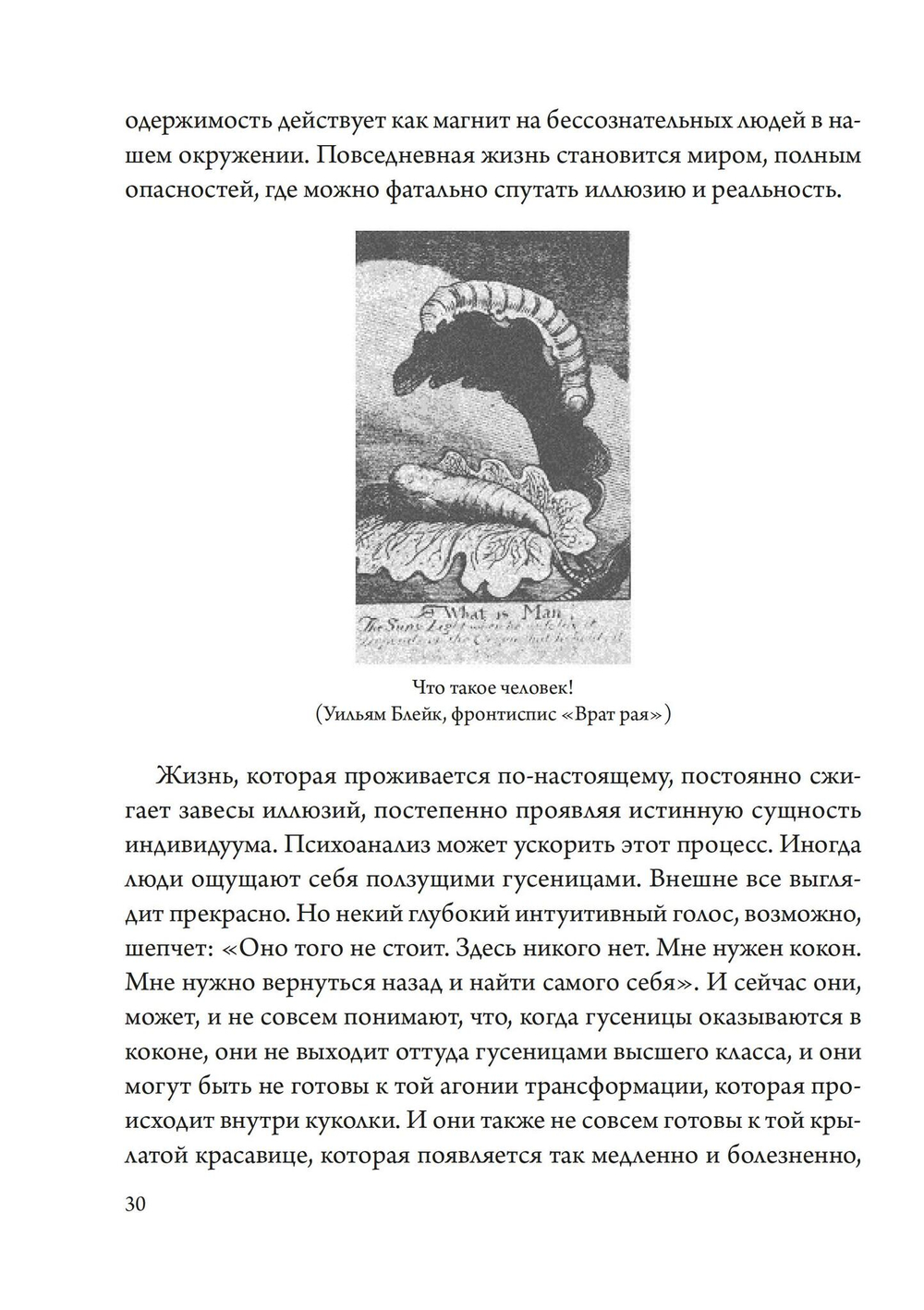 Беременная Дева (PDF)
