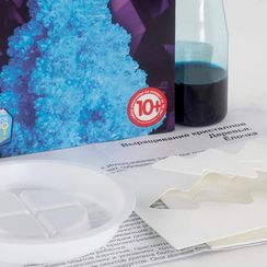 Выращивание кристаллов.Деревья "Голубая ёлочка"