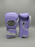 Боксерские перчатки Arcade Blue/Silver