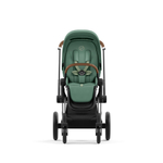 Cybex Priam IV (Прогулочная)