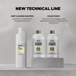 Mone Professional Кислотная смывка Восстановитель COLOR PUNCH 02 PHASE, 500 мл