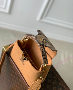 Louis Vuitton Capucines Mini