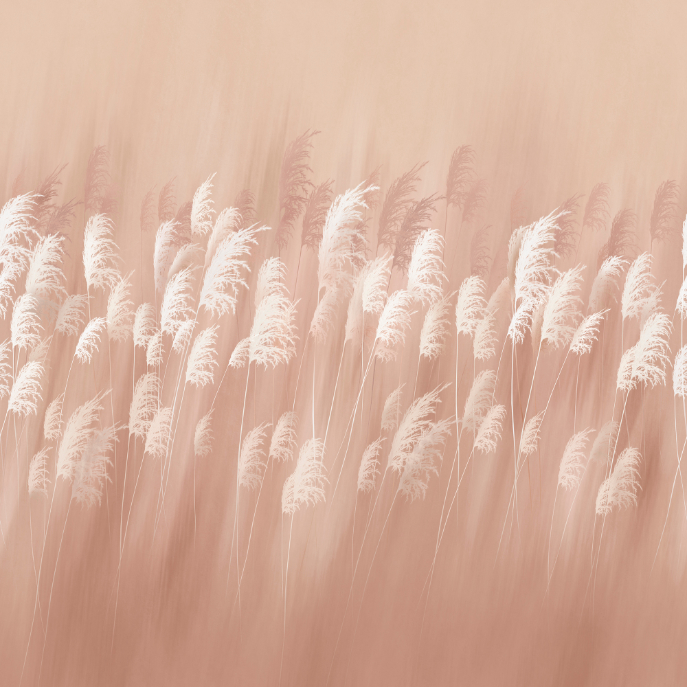 Коллекция Flower dreams 2