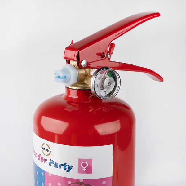 Огнетушитель с Краской Холи, Гендер Пати, Розовый, 2 л.