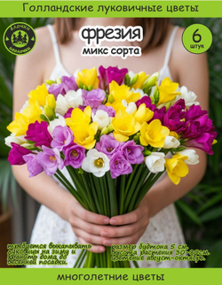 Луковица, Фрезия микс сортов 6 шт