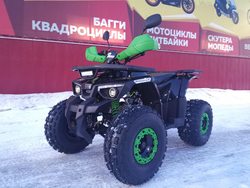 Квадроцикл PROMAX WILD 175 LUX