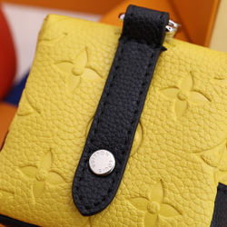 Louis Vuitton Squared Pouch