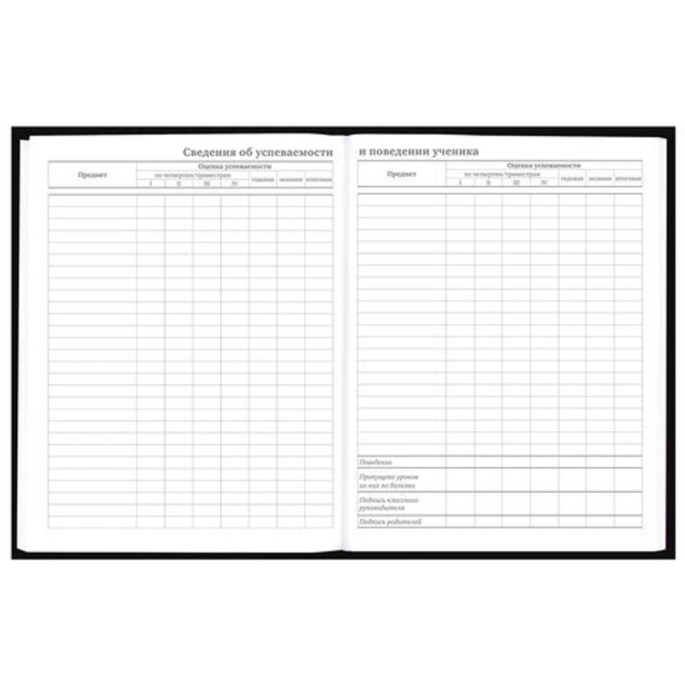 Дневник 5-11 класс 48 л., твердый, BRAUBERG, выборочный лак, с подсказом, "Dragon", 107195