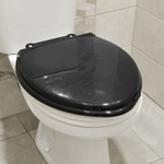 Сиденье для унитаза (черное)