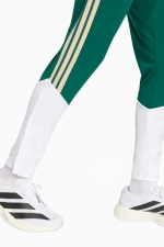 Штаны adidas Италия 2026 Training - зеленый