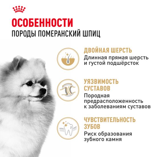 Royal Canin Pomeranian Adult для взрослых собак породы Померанский шпиц