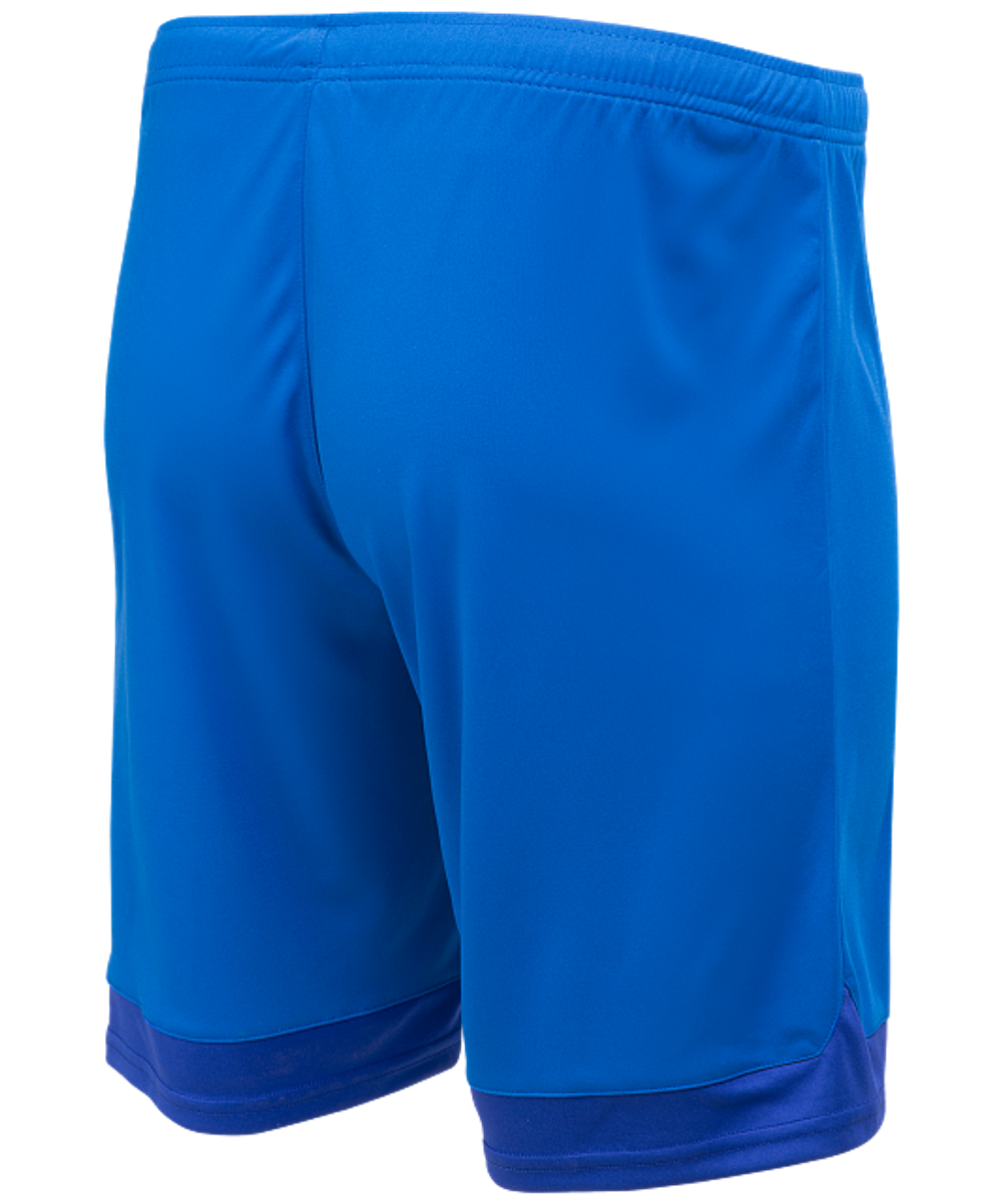 Шорты игровые DIVISION PerFormDRY Union Shorts, синий/темно-синий/белый