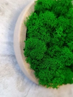 Панно из мха набор набор 3 шт.