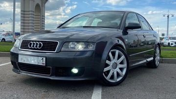 Листва (молдинги) на двери для Audi A4 B6 / B7
