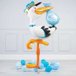 G Аист ходячий выписка мальчик (БГ-60)