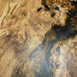 Карагач свилеватый