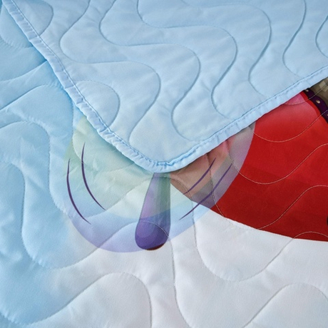 Покрывало 160х220 и наволочка 50х70 Sofi De MarkO Sunny day №5