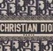 Сумка Dior Book Tote, темно-синий