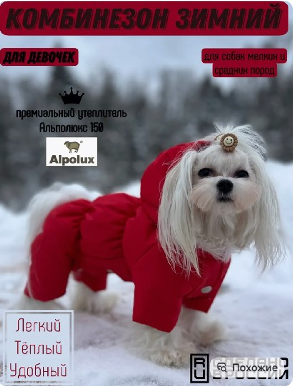 Зимний комбинезон для собак с капюшоном (девочка)