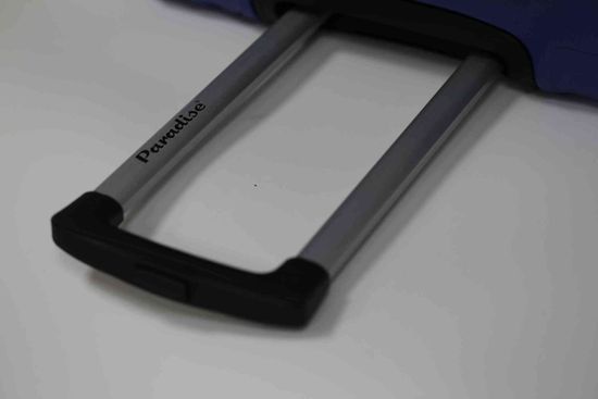 Чемодан PALMA