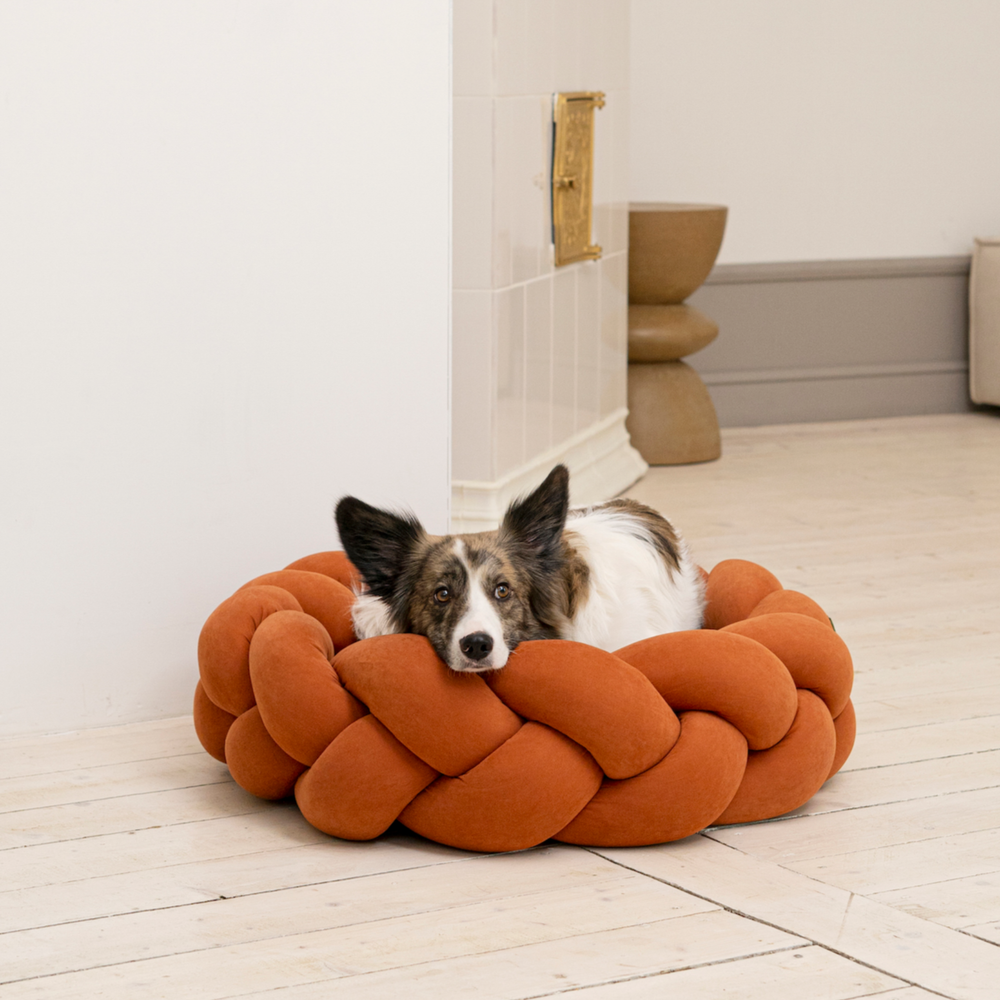 Лежанка «Пони-колосони» HuntingPony