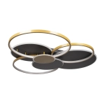 Потолочная люстра Loft It MEGAN 10163 Black