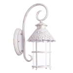 Уличный настенный светильник Arte Lamp PRAGUE A1462AL-1WG