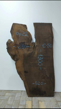 Орех термо 130 см (Д) × 52/83 см (Ш) × 5 см (Т)