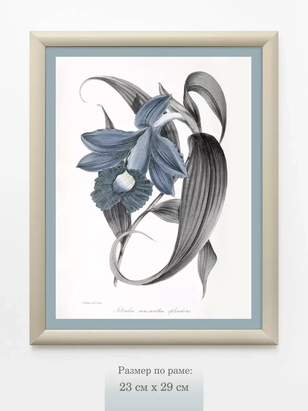 Картина на стену интерьерная на холсте 23*29 см