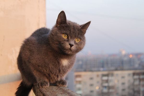 Падение с высоты